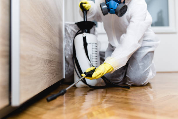 Best Pest Control Near Me  in Magnolia Springs, AL