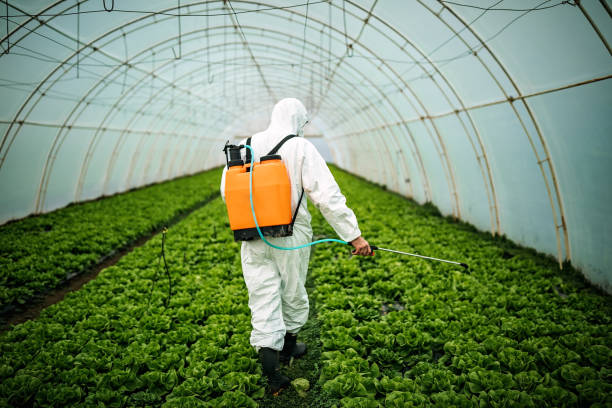 Best Best Pest Control Companies  in Magnolia Springs, AL