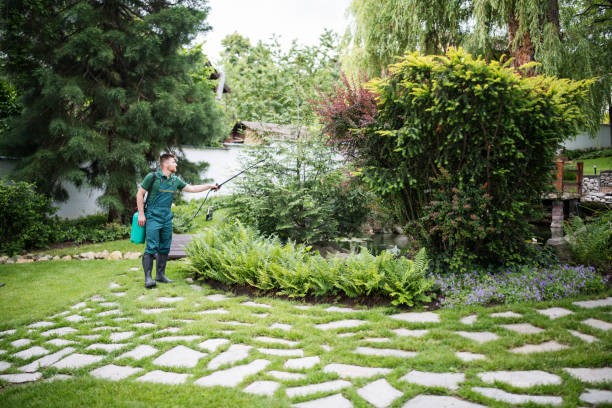 Best Pest Prevention Services  in Magnolia Springs, AL