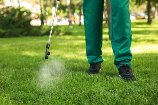  Magnolia Springs, AL Pest Control Pros