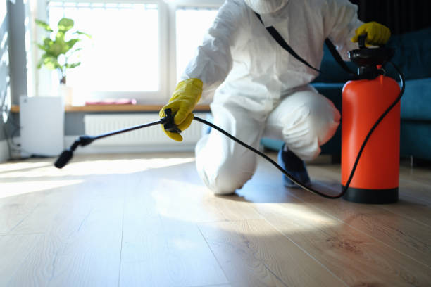 Pest Control Cost in Magnolia Springs, AL