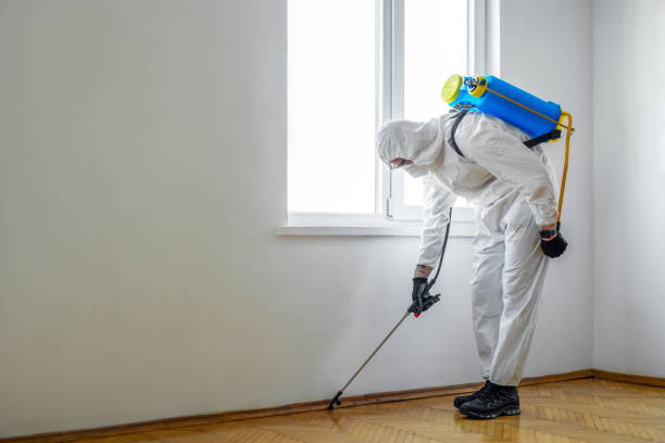 Best Ant Control Services  in Magnolia Springs, AL
