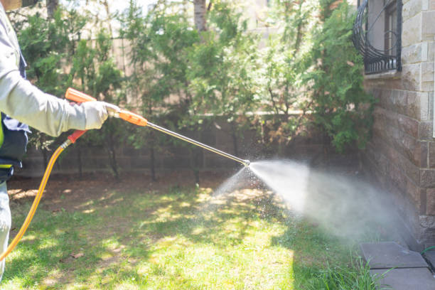 Best Flea Control Services  in Magnolia Springs, AL