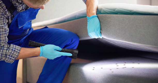 Best Bed Bug Extermination  in Magnolia Springs, AL