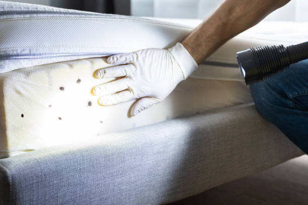 Best Residential Pest Control  in Magnolia Springs, AL