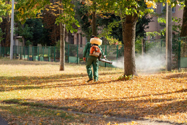 Best Mosquito Control Services  in Magnolia Springs, AL