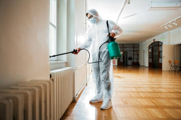 Best Pest Removal Services  in Magnolia Springs, AL