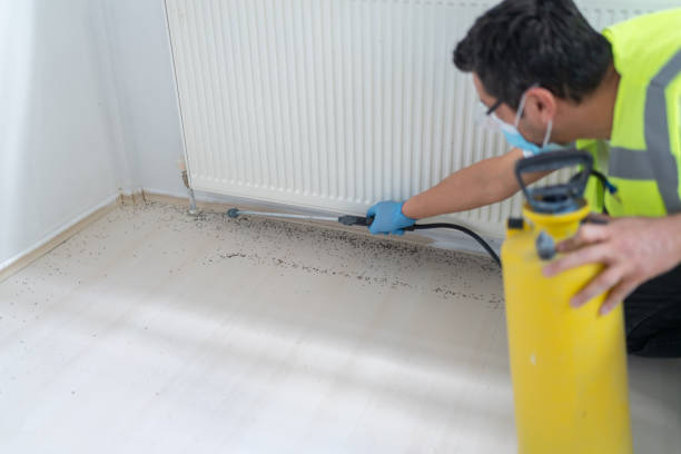 Best Ant Control Services  in Magnolia Springs, AL