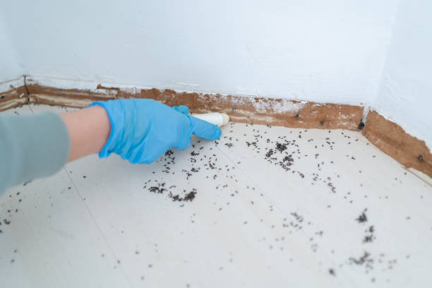 Magnolia Springs, AL Pest Control Company